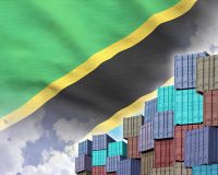 Wholesale Building Materials in Tanzania: 2024–2025 Market Outlook & Import Strategy for Professional Buyers 51 building materials- building materials in tanzania